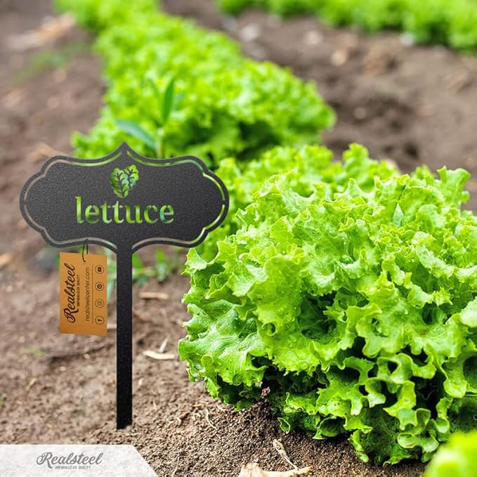 RealSteel - Seed & Plant Markers - Indoor/Outdoor Herb Garden Stakes - Elegant Fruit/Vegetable Seed Labels - Durable Plant Tags for Pots - Classy Design for Farmhouse/Greenhouse (Parsley)