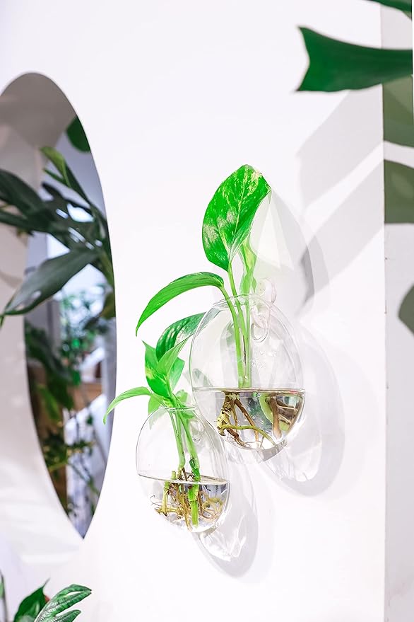 Propagation Station, Plants Terrarium, Plants Lover Gifts for Women,Plant Cutting Holder Home décor,Gifts for Women,House Warming New Home-4 Moon Shape