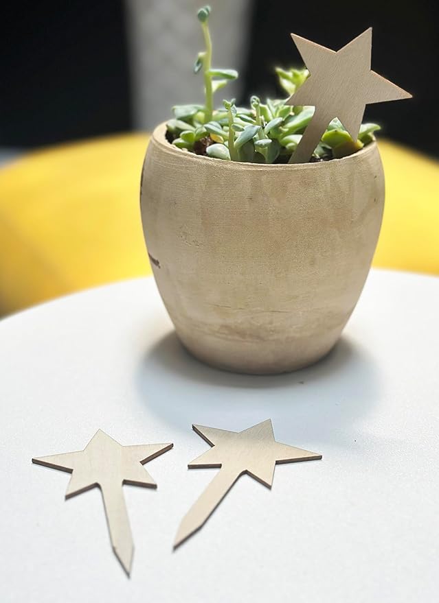 100 Pcs Wood Plant Labels, Natural Wooden Plant Marker Garden Sign Tags, Star Type Garden Markers for Succulents, Herbs, Seedlings, Potted, Flowers, Vegetables (Star)