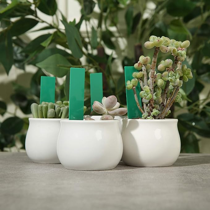 1000 Pcs 4 Inch Garden Plant Labels, Plastic Nursery Tags Waterproof Pot Seed Markers, Green