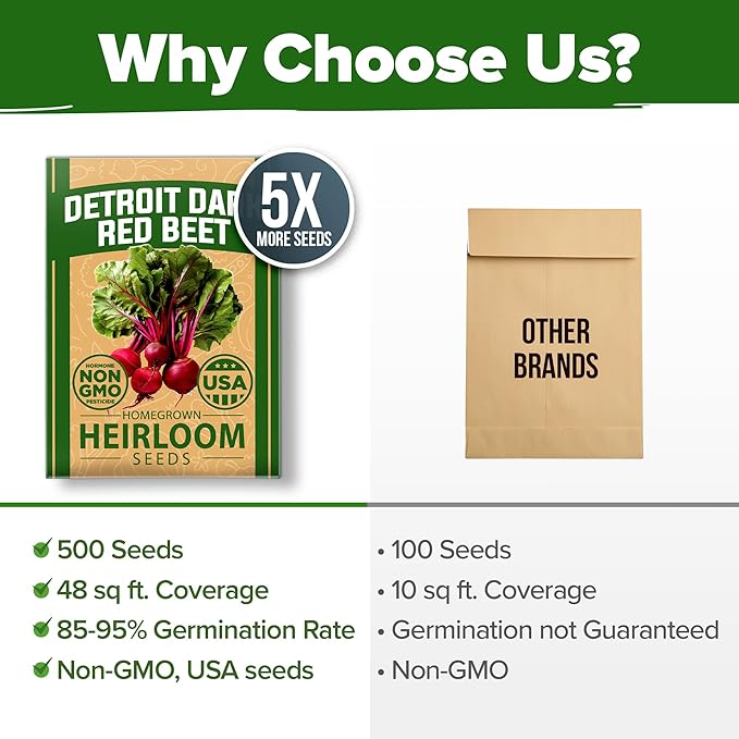 HOME GROWN π¨π¦π π£π₯ππ ππ¨π Detroit Dark Red Beet Seeds Pack - 500 Heirloom π‘π’π‘-ππ π’ Vegetable Seeds for Planting - Red Beet for Home Garden β High Germination(Beta vulgaris)