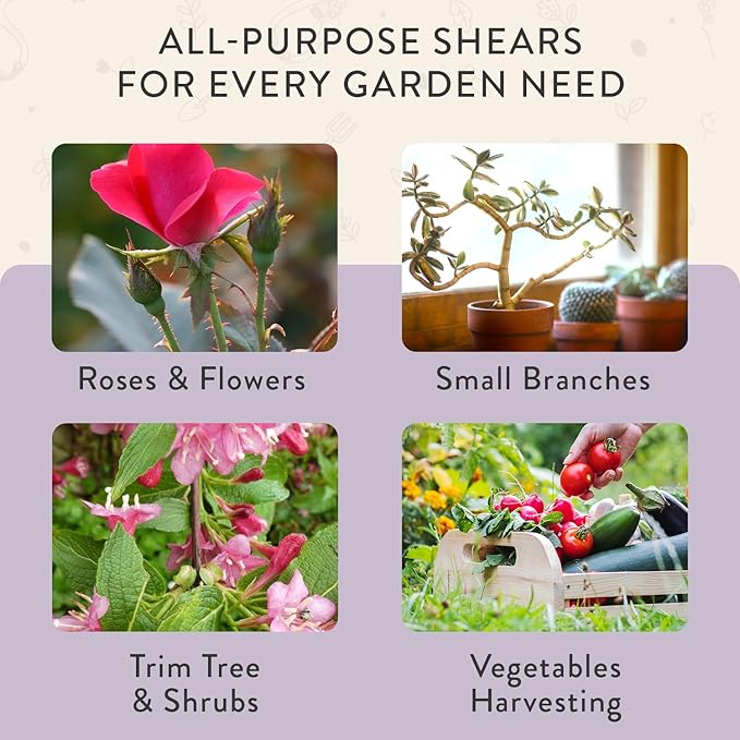 Modern Sprout Hand Pruners - Lightweight Pruning Shears W/Easy Lock- Gardening Scissors - Bypass Sharp Carbon Steel Blade - Rust Resistant - Garden Tools - Reusable Holster - Lavender