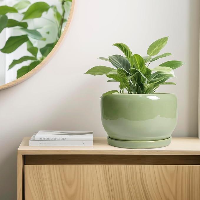 SQOWL Ceramic Planter - 10 Inch Pot for Plants Indoor Outdoor, Round Modern Flower Pot with Drainage Hole and Saucer, Decorative Large Planter, Office Decor, Plant Lovers Gifts, Green