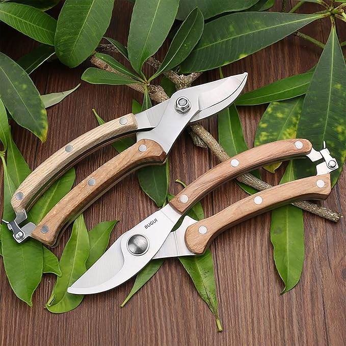 BUGUI Wood Handle Pruning Shears, SK-5 Steel Blade, 1-inch Cutting Capacity, Sharp, Well Designed Garden Shears, 8