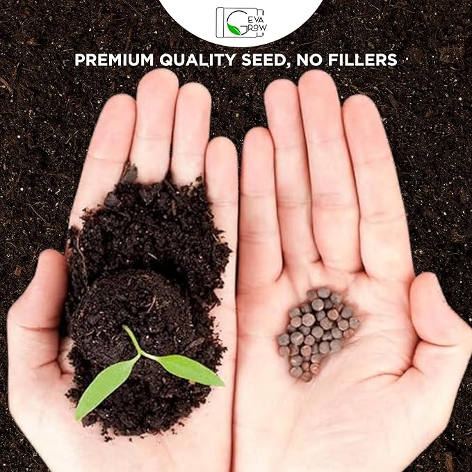 Wildflower Seed Shaker – Annual Mix by GevaGrow | 17 Variety Flower Seeds for Planting in Pots & Outdoor Gardens, Bulk 300,000+ Seeds - 1 Pound Tub