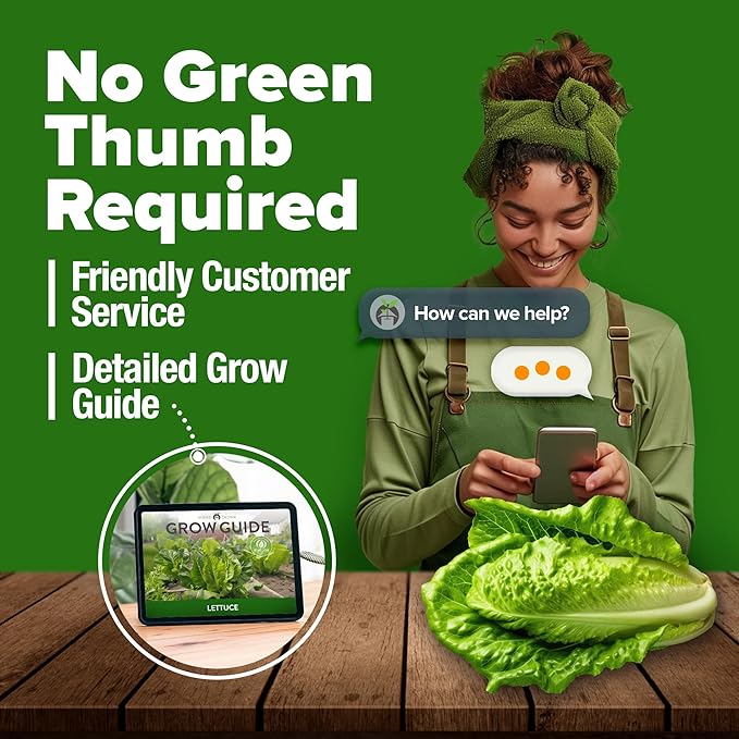 HOME GROWN π¨π¦π π£π₯ππ ππ¨π Parris Island Romaine Lettuce 3,500+ High Germination Heirloom π‘π’π‘-ππ π’ Lettuce for Planting Crisp Heads for Garden & Hydroponics, Indoor Outdoor (Lactuca Sativa)