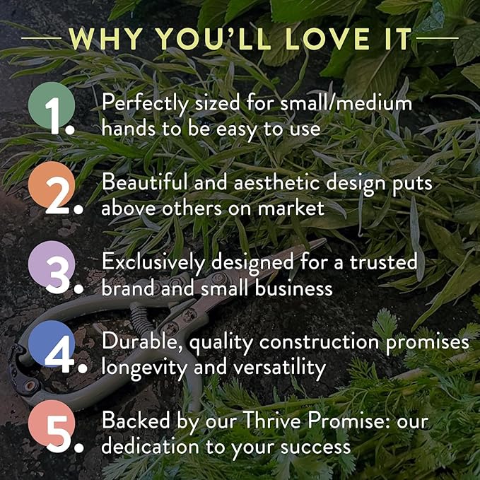 Modern Sprout Hand Pruners & Shears Set with Blister Pack - Lightweight Gardening Tools with Easy Lock - Sharp Carbon Steel Blades -Rust Resistant Scissors for Herbs, Flowers - Sage