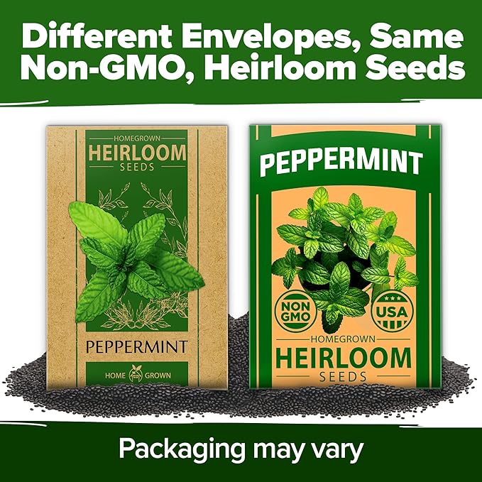 HOME GROWN π¨π¦π π£π₯ππ ππ¨π Peppermint Seeds Pack β 2,370 π‘π’π‘-ππ π’ Heirloom Mint Seeds for Planting. Grow Peppermint Plants in Your Herb Garden Indoors or Outdoors (Mentha x piperita)