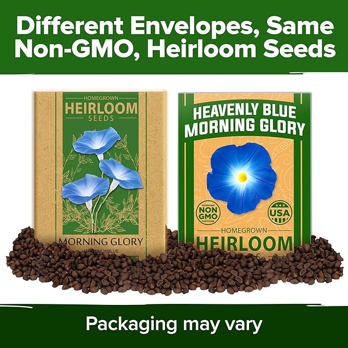 HOME GROWN π¨?π π£π₯ππ ππ¨π Heavenly Blue Morning Glory - 150 Heirloom Seeds for Planting, π‘π’π‘-ππ π’ Ideal for a Flower Garden That Attracts Pollinators and Birds (Ipomoea Tricolor)