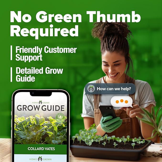 HOME GROWN π¨π¦π π£π₯ππ ππ¨π Collard Green Seeds - 300 Seeds for Fall Planting - High Germination π‘π’π‘-ππ π’ Heirloom Vegetable Seeds, Vates Collard Greens Seed Pack (Brassica oleracea)