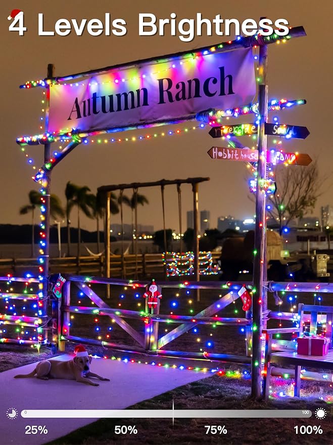 Christmas Lights Outdoor 1000LED 328FT, Multicolor Fairy Lights IP67 Waterproof, Plug in String Light with Remote 8 Modes Timer, Xmas Light for Outside Indoor House Tree Decorations