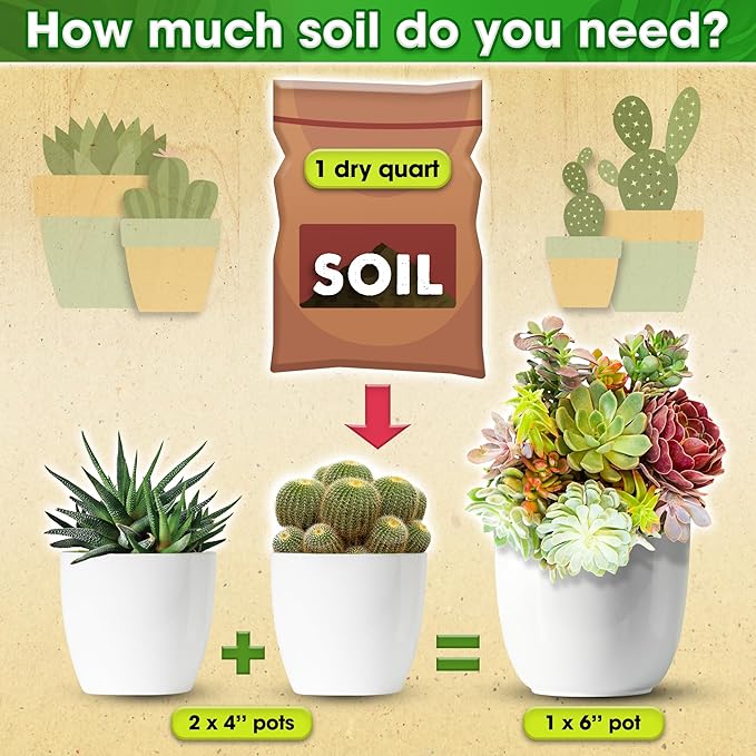 DUSPRO Succulents Soil Potting Mix โ 7 in 1 Ingredients Well-Draining, Nutrient-Rich Cactus Potting Soil for Succulents and Cacti, Indoor & Outdoor Use, Ready to Use, Supports Healthy Root Growth, 2QT