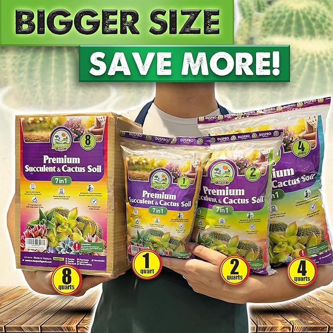 DUSPRO Succulents Soil Potting Mix โ 7 in 1 Ingredients Well-Draining, Nutrient-Rich Cactus Potting Soil for Succulents and Cacti, Indoor & Outdoor Use, Ready to Use, Supports Healthy Root Growth, 1QT