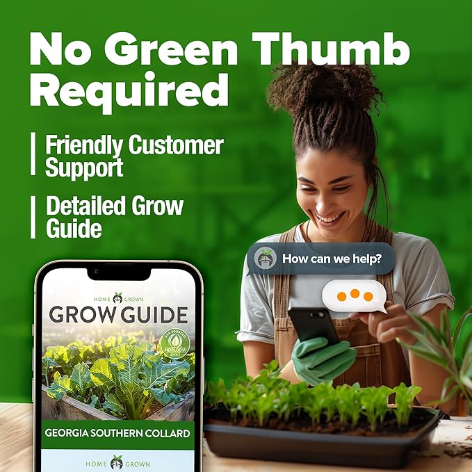 HOME GROWN π¨π¦π π£π₯ππ ππ¨π Collard Greens Georgia Southern - 300 High Germination π‘π’π‘-ππ π’ Heirloom Seeds for Planting in Your Vegetable Garden (Brassica oleracea)