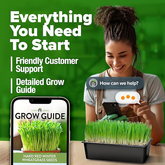 HOME GROWN 12,000+ Wheatgrass Seeds Bulk Pack(1.5 lb) ๐ก๐ข๐ก-๐๐ ๐ข ๐จ๐ฆ๐ Hard Red Winter Wheatgrass โ Heirloom, Sprouting for Juicing, Microgreens, Smoothies & Indoor Gardening(Triticum aestivum)