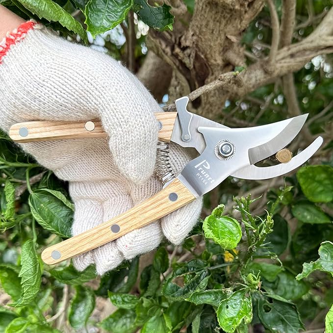 Pruning Shears for Gardening - 7.5 Hand Pruners with High Carbon Steel Blade, 5/8 Cutting Capacity, Ergonomic Wood-Inlaid Steel Handles, Safety Lock & a Spring Included - Garden Clippers