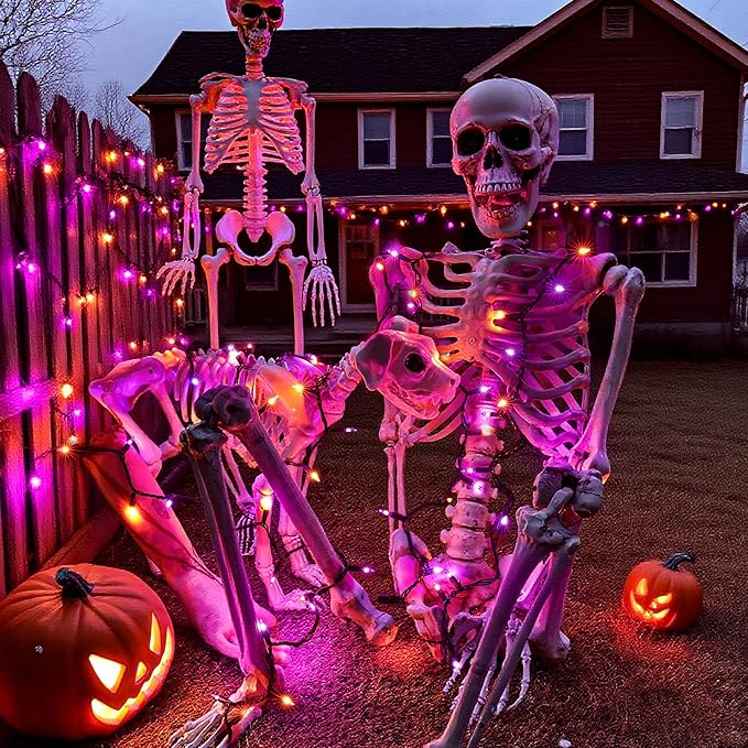 Halloween Lights -1 Pack 21.5FT 100LED Conectable Waterproof String Lights Brighter Detachable Plug-in Lights Indoor & Outdoor for Halloween Decoration(Orange & Purple)