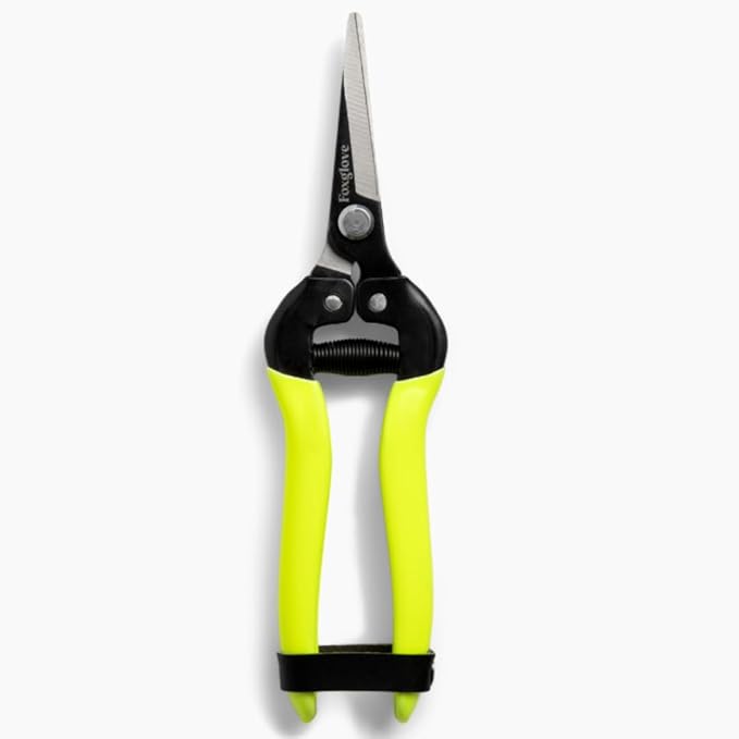 Foxglove Garden Scissors ? Professional Pruning Shears for Gardening, Ultra-Sharp Garden Shears with Japanese SK5 Steel Blades, Ergonomic Gardening Shears & Garden Clippers for Flowers and Plants