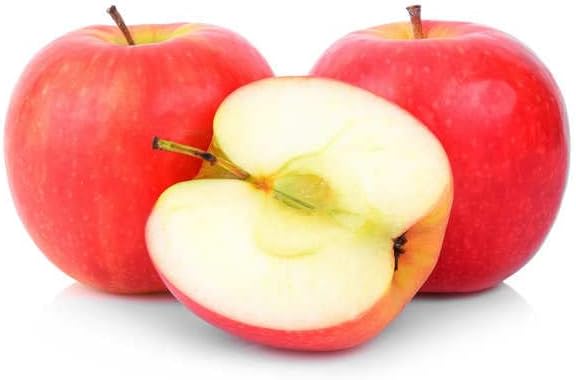 TriStar Plants - Pink Lady Apple Tree, 1 Gallon Pot - Healthy Established Roots, Young Easy Tree, Edible Fruit, Semi-Dwarf, Crisp Apple.