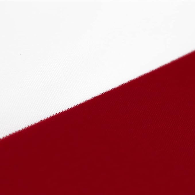 Flaglink 1.5x3Ft American Pleated Fan Flag Width Approx 90cm - US Patriotic Half Fan Bunting Flag 8 PACK