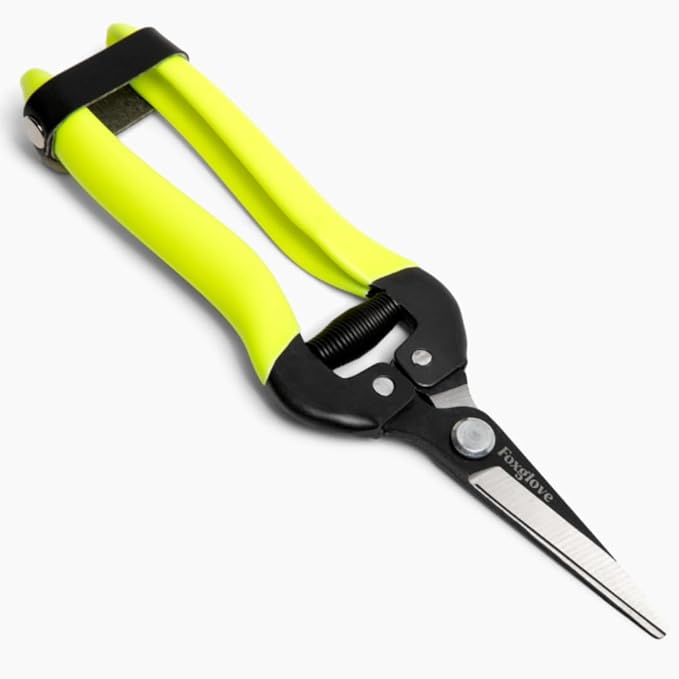 Foxglove Garden Scissors ? Professional Pruning Shears for Gardening, Ultra-Sharp Garden Shears with Japanese SK5 Steel Blades, Ergonomic Gardening Shears & Garden Clippers for Flowers and Plants