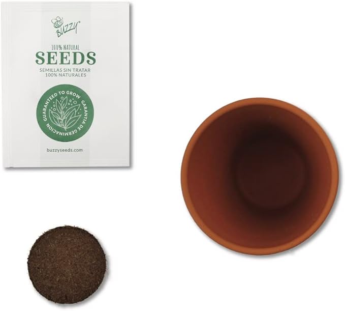 BUZZY Seeds Mini Terracotta Grow Pots Daydream Collection, Assorted 6-Pack Flower and Plant Seed Starter Kit for Kids and Adults, Indoor Gardening Gift, Holiday Present, Stocking Stuffer