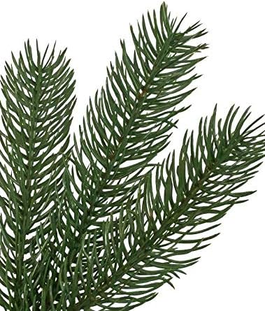 Balsam Hill Mountain Spruce - Realistic Narrow Artificial Christmas Tree with True Needle Foliage Available Unlit or with Warm LED Clear Lights, Unlit, 6.5'