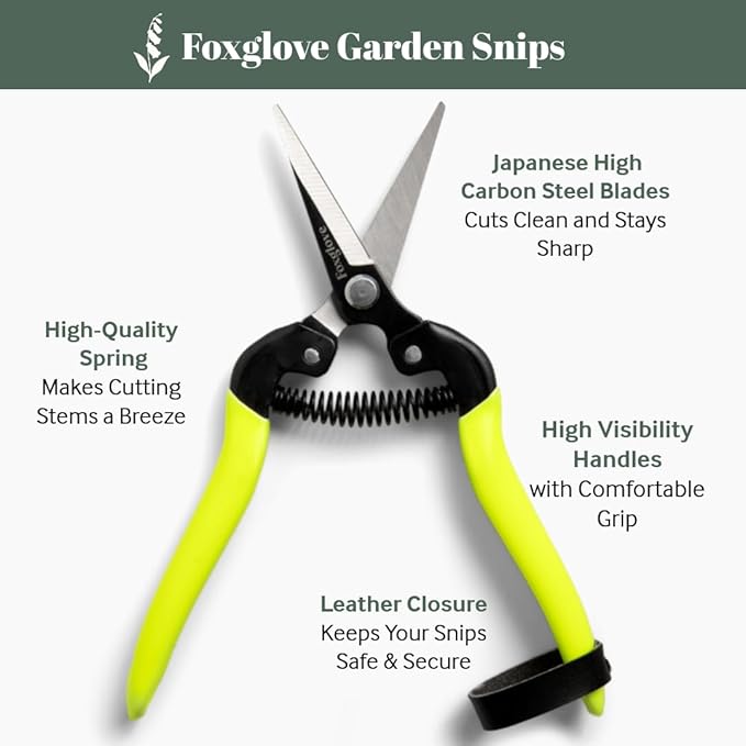 Foxglove Garden Scissors ? Professional Pruning Shears for Gardening, Ultra-Sharp Garden Shears with Japanese SK5 Steel Blades, Ergonomic Gardening Shears & Garden Clippers for Flowers and Plants