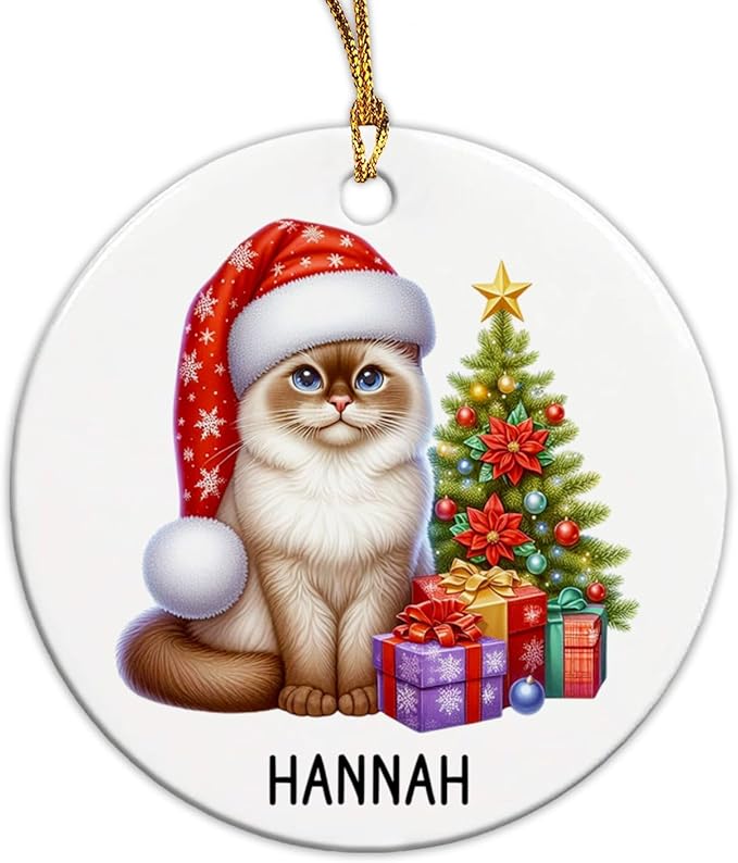 Customized Burmese Christmas Tree Ornament with Name, Personalized Burmese in Santa Hat Ceramic Ornaments, Cat Pet Christmas Ornament 2025, Cat Xmas Decor Gift for Pet Lover Kid Son Daughter