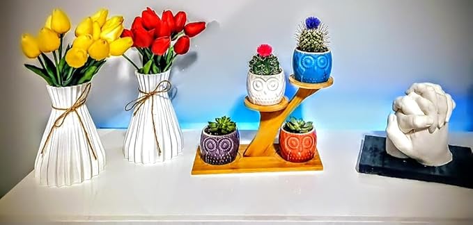 Blisse Wood Owl Planter (Blue)