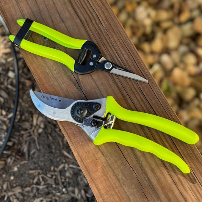 Foxglove Garden Scissors ? Professional Pruning Shears for Gardening, Ultra-Sharp Garden Shears with Japanese SK5 Steel Blades, Ergonomic Gardening Shears & Garden Clippers for Flowers and Plants