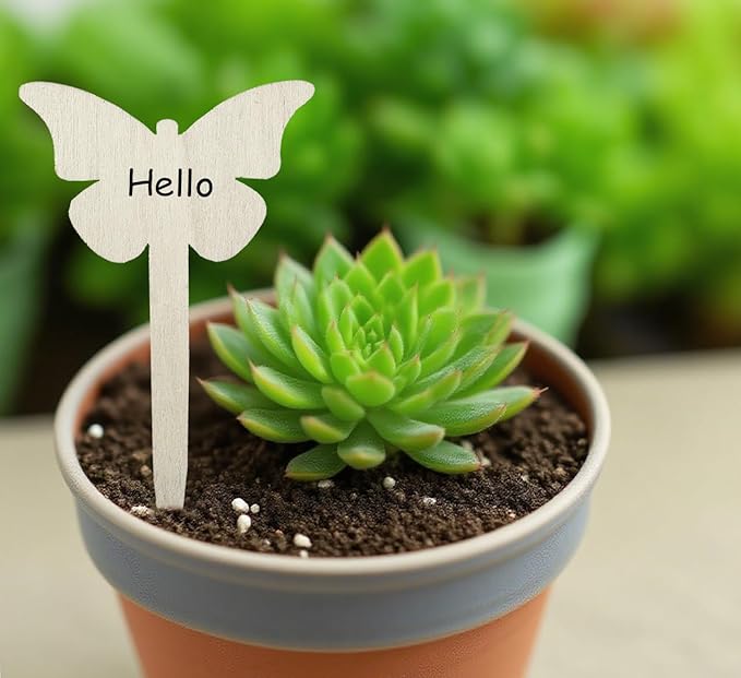 100 Pcs Wood Plant Labels, Natural Wooden Plant Marker Garden Sign Tags, Butterfly Type Garden Markers for Succulents, Herbs, Seedlings, Potted, Flowers, Vegetables (Butterfly)