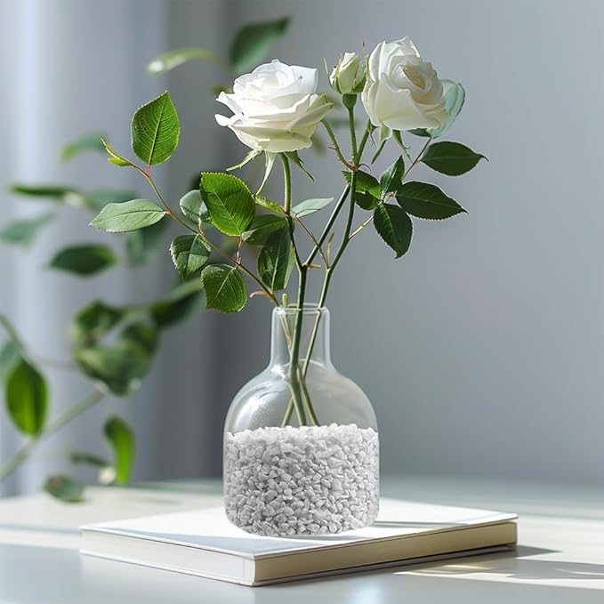 HappyFiller Succulent Cactus Soil Cover Gravels,Indoor Plants Decorative Small Rock,2-5mm Natural White Stones for Aquarium Fish Tank,Grow Media Cultivation Hydroponic Pebbles,1.1 LB