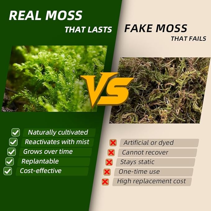 Real Live Moss for Terrariums, Fairy Gardens, Reptile Habitats & Mini Landscapes – Naturally Cultivated Live Moss, Revives in 5 Minutes with Water Mist, Grows & Multiplies (3 Sheets, 3.5”x7”)
