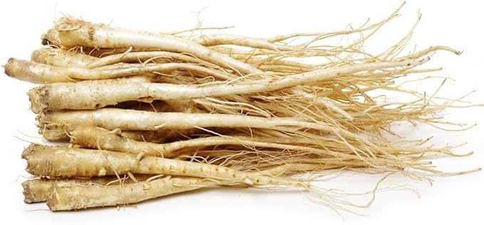 1400 Balloon Flower Seeds- Toraji - Chinese Bell Flower Seeds - Roots are Edible.