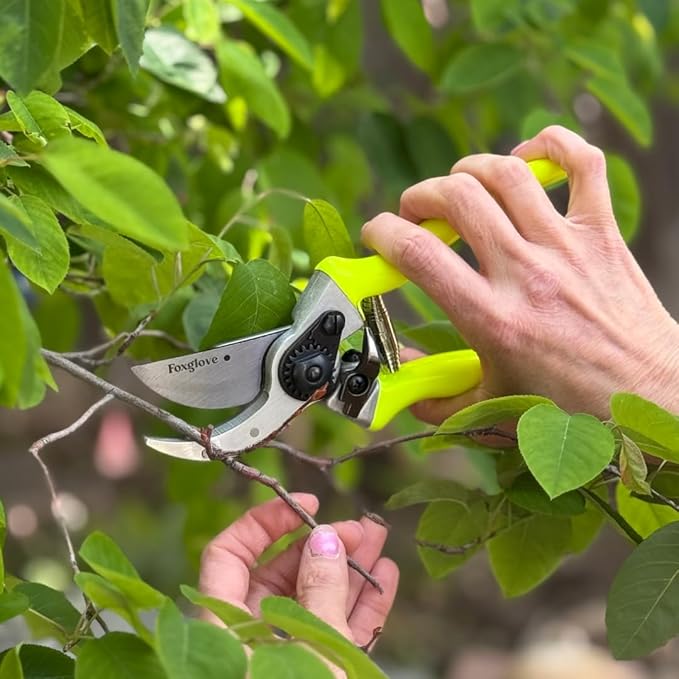 Foxglove 8.5" Pruning Shears – Professional Garden Shears & Bypass Hand Pruners with Japanese SK5 High Carbon Steel Blades, Heavy Duty Garden Clippers & Gardening Tools