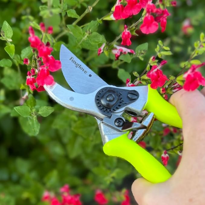 Foxglove 8.5" Pruning Shears – Professional Garden Shears & Bypass Hand Pruners with Japanese SK5 High Carbon Steel Blades, Heavy Duty Garden Clippers & Gardening Tools
