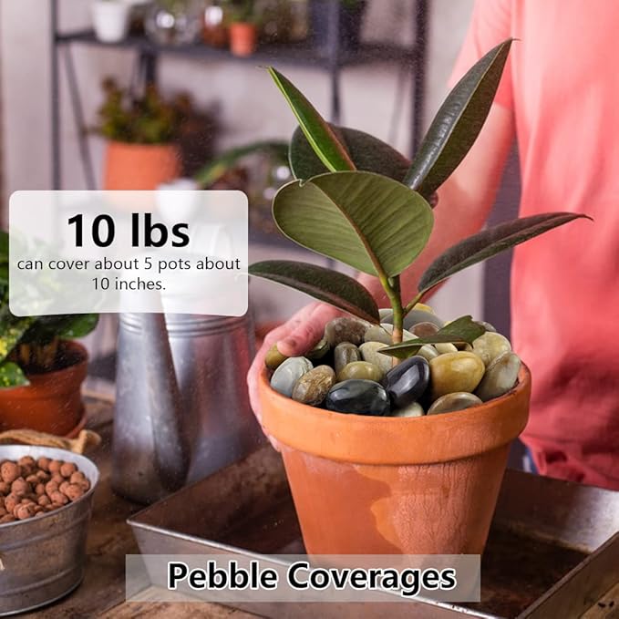 40lbs Pebbles for Landscaping Garden Indoor Plants, 1-2 Inch Mixed Color High Polished River Rocks Outdoor Decorative Stones Outdoor Vase Filler Fish Tank Aquariums and Indoor DIY