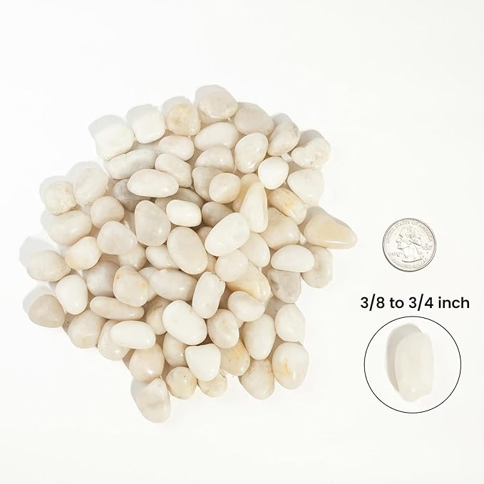 6 LBS River Rocks, StoneCreek, Decorative Garden Stones for Plant Landscaping, Polished Gravel Filler Pebbles for Home Decoration, Vases, Succulents, Flower Beds and Fish Tanks (White, Medium)