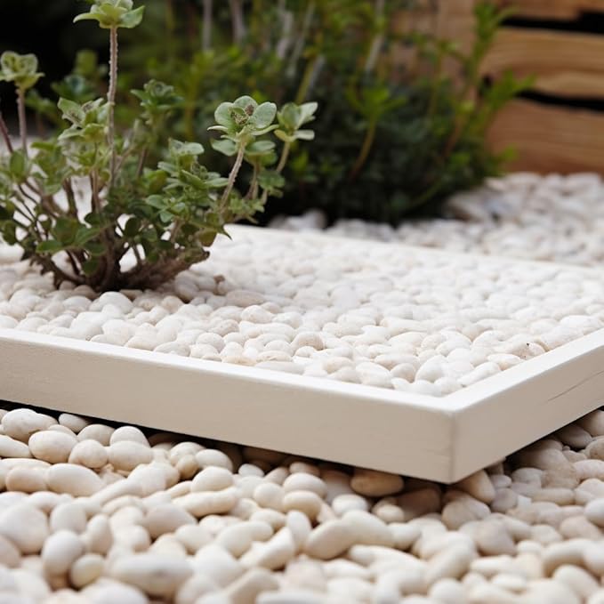 6 LBS River Rocks, StoneCreek, Decorative Garden Stones for Plant Landscaping, Polished Gravel Filler Pebbles for Home Decoration, Vases, Succulents, Flower Beds and Fish Tanks (White, Medium)
