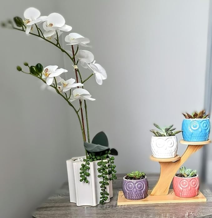 Blisse Wood Owl Planter (White)