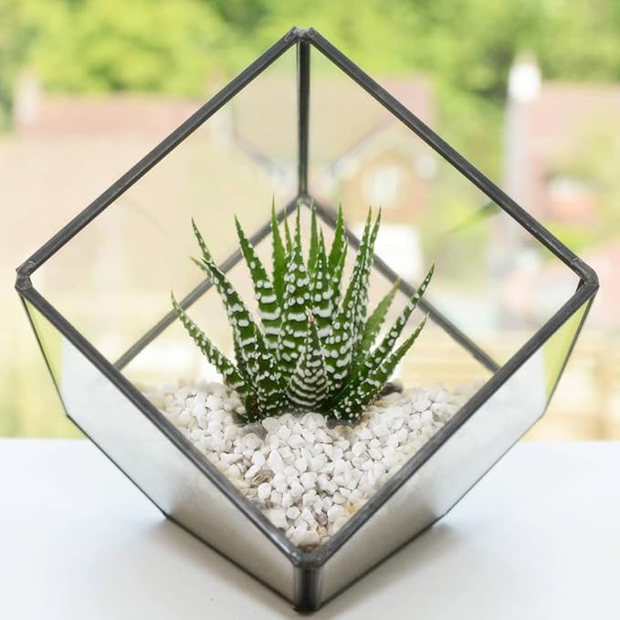 HappyFiller Succulent Cactus Soil Cover Gravels,Indoor Plants Decorative Small Rock,2-5mm Natural White Stones for Aquarium Fish Tank,Grow Media Cultivation Hydroponic Pebbles,1.1 LB