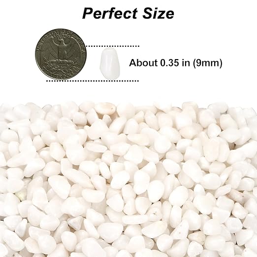 Landscaping Pebbles River Rocks Decorative Ornamental Pebbles Garden Landscaping Stones Gravel Filler for Home Decoration Flower Bed Fish Tank Plants Vases Succulents (1, White, 10 Pounds)