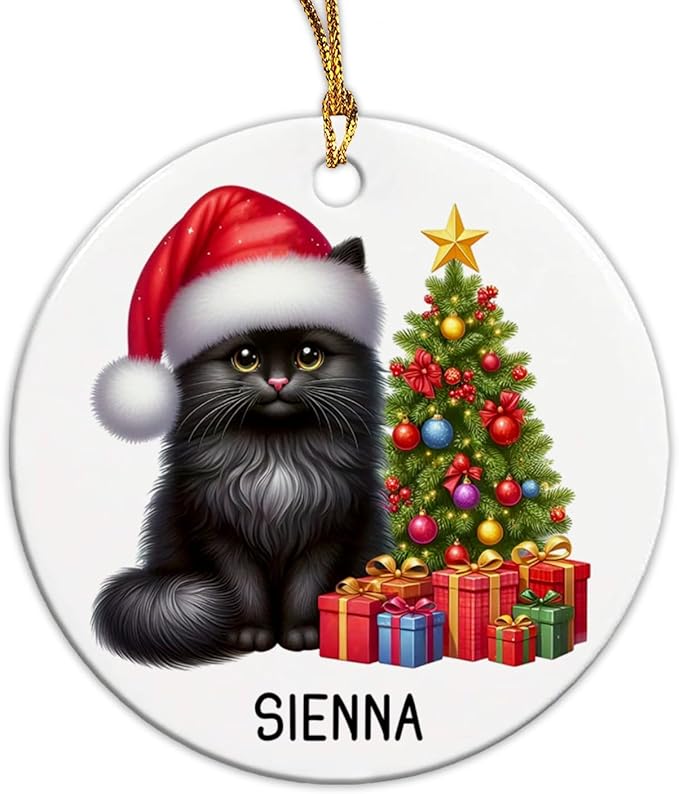 Personalized Black Cat Christmas Ornament with Name, Custom Black Cat Ceramic Ornaments Xmas 2025, Pet Christmas Tree Ornament for Pet Owner, Keepsake Gift for Children Family Friend Coworker