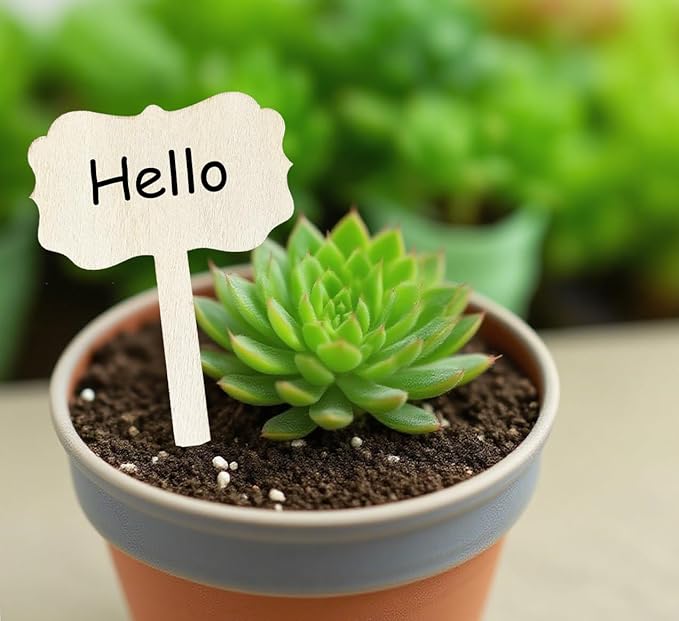 100 Pcs Wood Plant Labels, Natural Wooden Plant Marker Garden Sign Tags, T-Type Garden Markers for Succulents, Herbs, Seedlings, Potted, Flowers, Vegetables (Polygon)