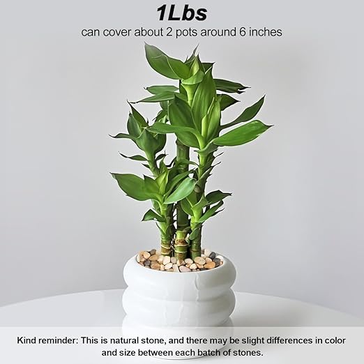 Landscaping Pebbles River Rocks Decorative Ornamental Pebbles Garden Landscaping Stones Gravel Filler for Home Decoration Flower Bed Fish Tank Plants Vases Succulents (1, Mixed Color, 1 Pound)