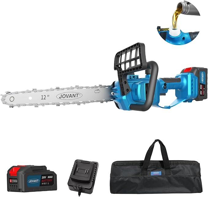 12 Inch Electric Chainsaw Cordless, 20V Battery Powered Cordless Chain Saw, Chainsaw with 1 * 4.0Ah Battery and Charger for Wood Cutting, Tree Trimming and Branch Pruning