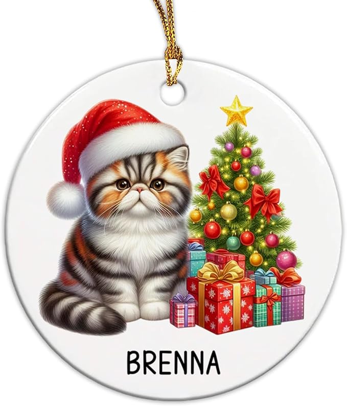 Personalized Exotic Shorthair Ceramic Ornaments, Exotic Shorthair Ornament with Custom Name, Cat Santa Hat Christmas Ornament 2025, Gift for Cat Lover Family Friend, Pet Christmas Tree Decor