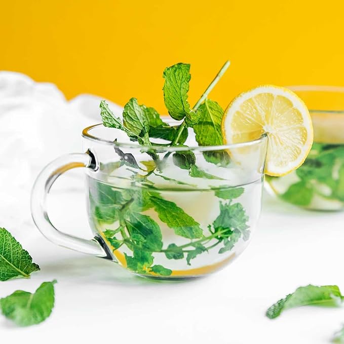 Generic Spearmint Plants. Live, Fragrant, Fresh, Edible. Easy Grow. Indoor/Outdoor. (2 Mint Bags)
