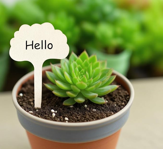 100 Pcs Wood Plant Labels, Natural Wooden Plant Marker Garden Sign Tags, Cloud Type Garden Markers for Succulents, Herbs, Seedlings, Potted, Flowers, Vegetables (Cloud)